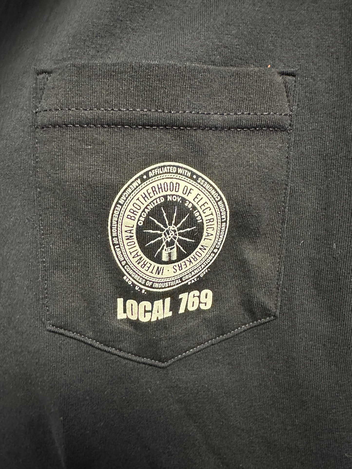 LS 769 Bug Logo